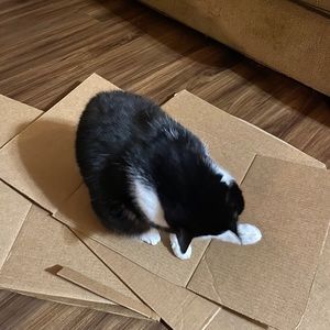 Meet your Posher, Carolyn